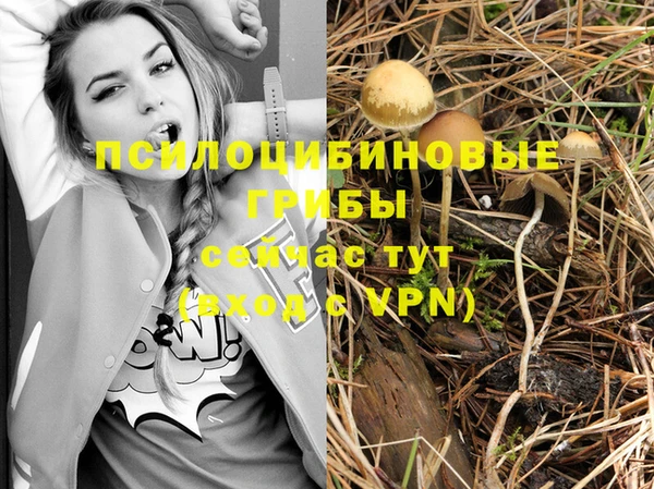 МДМА Абдулино