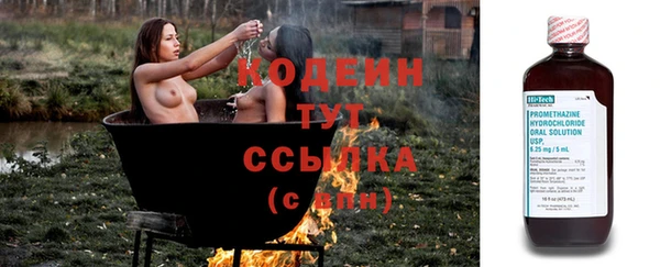 дживик Абаза