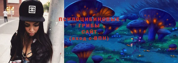 дживик Абаза