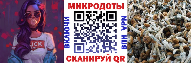 купить наркотики сайты  Углегорск  Псилоцибиновые грибы Magic Shrooms 
